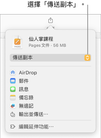 「分享」選單的最上方已選取「傳送副本」。