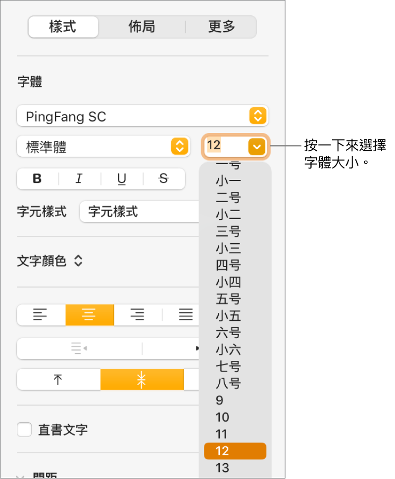 「格式」側邊欄的「樣式」區域會開啟字體大小彈出式選單。彈出式選單最上方會顯示中國大陸政府標準字體大小，下方則顯示點的大小。