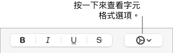 「更多文字選項」彈出式選單的右側為「粗體」、「斜體」、「底線」和「刪除線」按鈕。