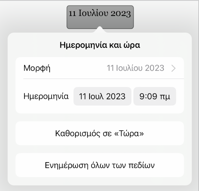 Τα στοιχεία ελέγχου «Ημερομηνία και ώρα» όπου φαίνονται ένα αναδυόμενο μενού για τη μορφή ημερομηνίας, και τα κουμπιά «Καθορισμός σε Τώρα» και «Ενημέρωση όλων των πεδίων».