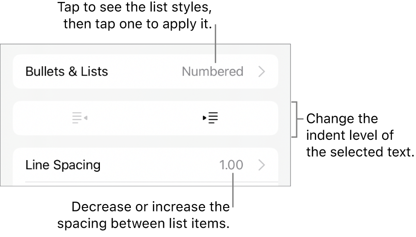 The Bullets & Lists section of the Format controls with callouts to Bullets & Lists, outdent and indent buttons, and line spacing controls.