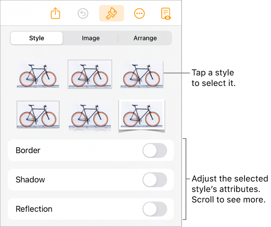 The Style tab of the Format menu with object styles at the top and controls below them to change the border, shadow, reflection, and opacity.