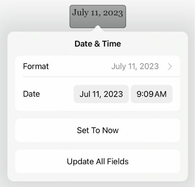 The Date & Time controls showing a pop-up menu for date Format, and Set to Now and Update All Fields buttons.