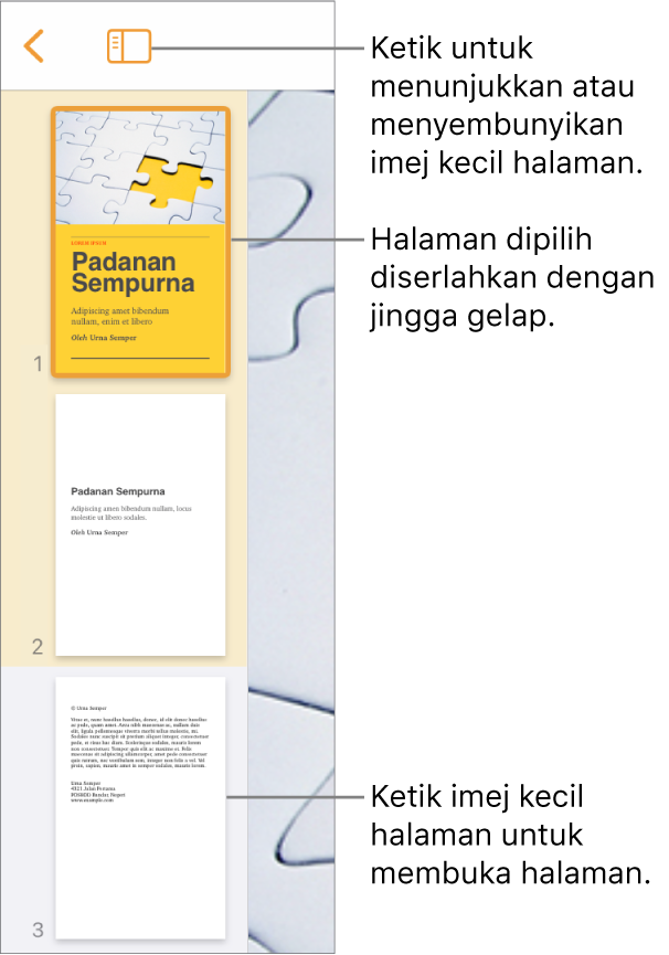 Paparan Imej Kecil Halaman di sebelah kiri skrin dengan satu halaman dipilih. Butang Pilihan Paparan di atas imej kecil.