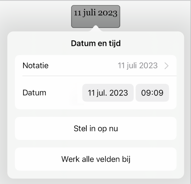 De regelaars voor datum en tijd met een pop‑upmenu voor de datumnotatie en de knoppen 'Stel in op nu' en 'Werk alle velden bij'.