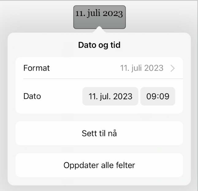 Dato og tid-kontrollene, med en lokalmeny for datoformat, og knappen Sett til nå- og Oppdater alle felter-knapper.