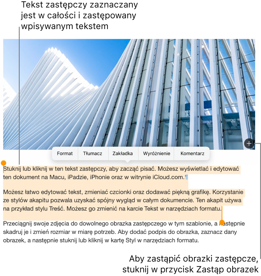 Tekst zastępczy i obrazki zastępcze.