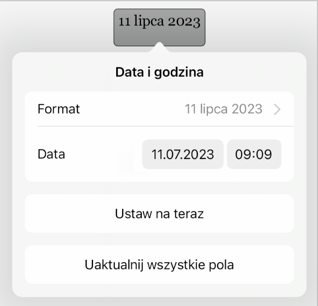 Narzędzia daty i czasu. Widoczne jest menu podręczne formatu daty i przyciski Ustaw na dzisiaj oraz Uaktualnij wszystkie pola.