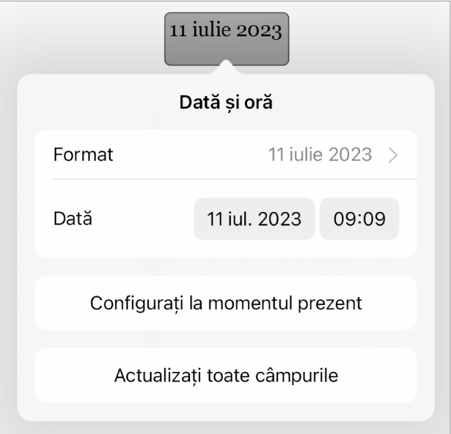 Fereastra comenzilor Dată și oră afișând un meniu pop-up pentru formatarea datei și butoanele Configurați la momentul prezent și Actualizați toate câmpurile.