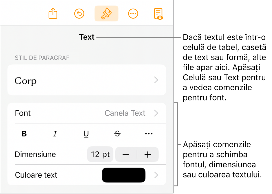 Comenzi text din meniul Format pentru configurarea paragrafelor și a stilurilor, fonturilor, dimensiunii și culorii caracterelor.