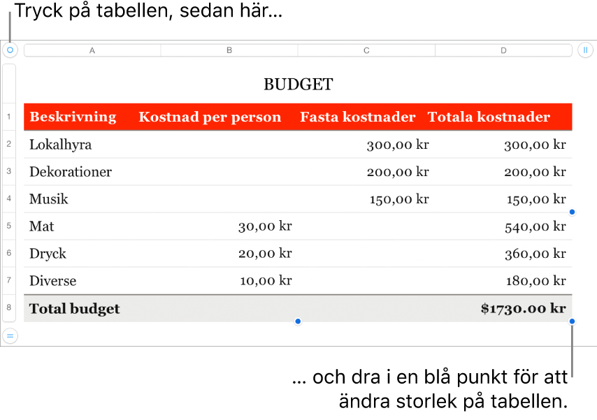 En markerad tabell med blå punkter som används till att ändra storleken.