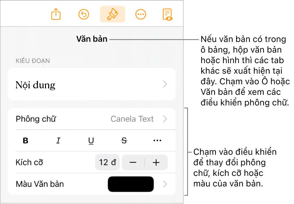 Các điều khiển văn bản trong menu Định dạng để đặt kiểu, phông chữ, kích cỡ và màu của đoạn và ký tự.