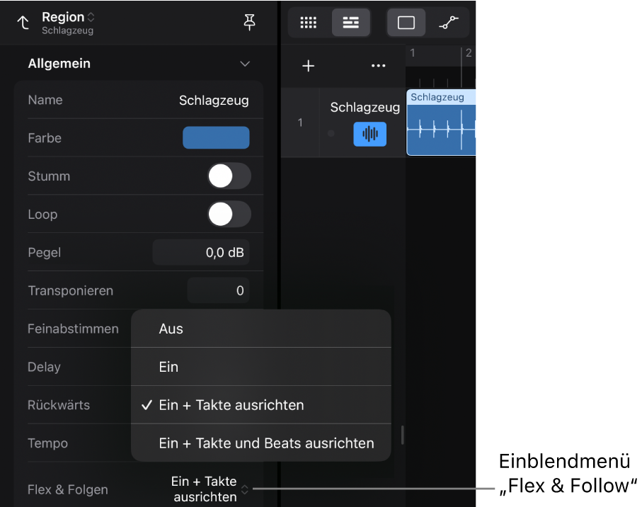 Abbildung. Das Informationsfenster „Region“ zeigt das Einblendmenü „Flex & Folgen“ im Informationsfenster „Region“.