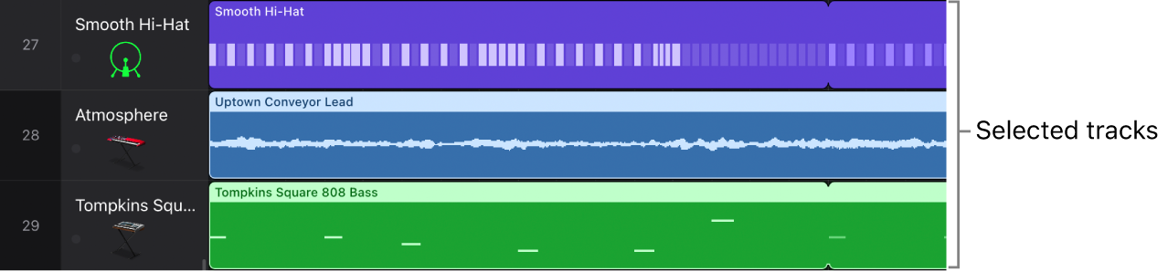 Figure. Tracks area showing tracks selected.