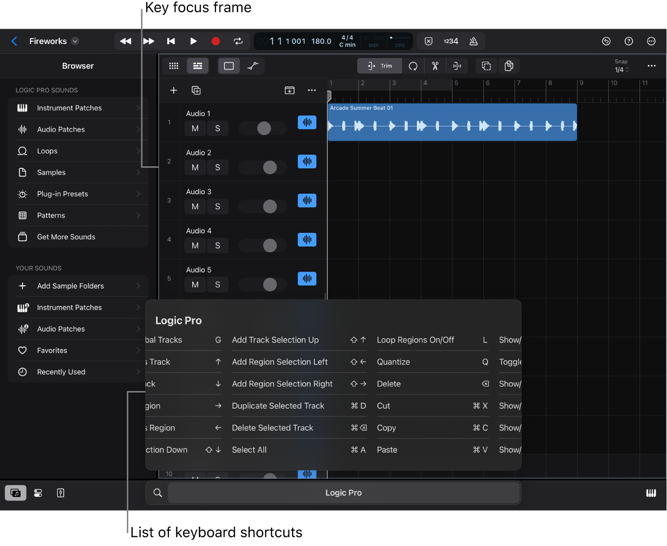 Key focus frame.