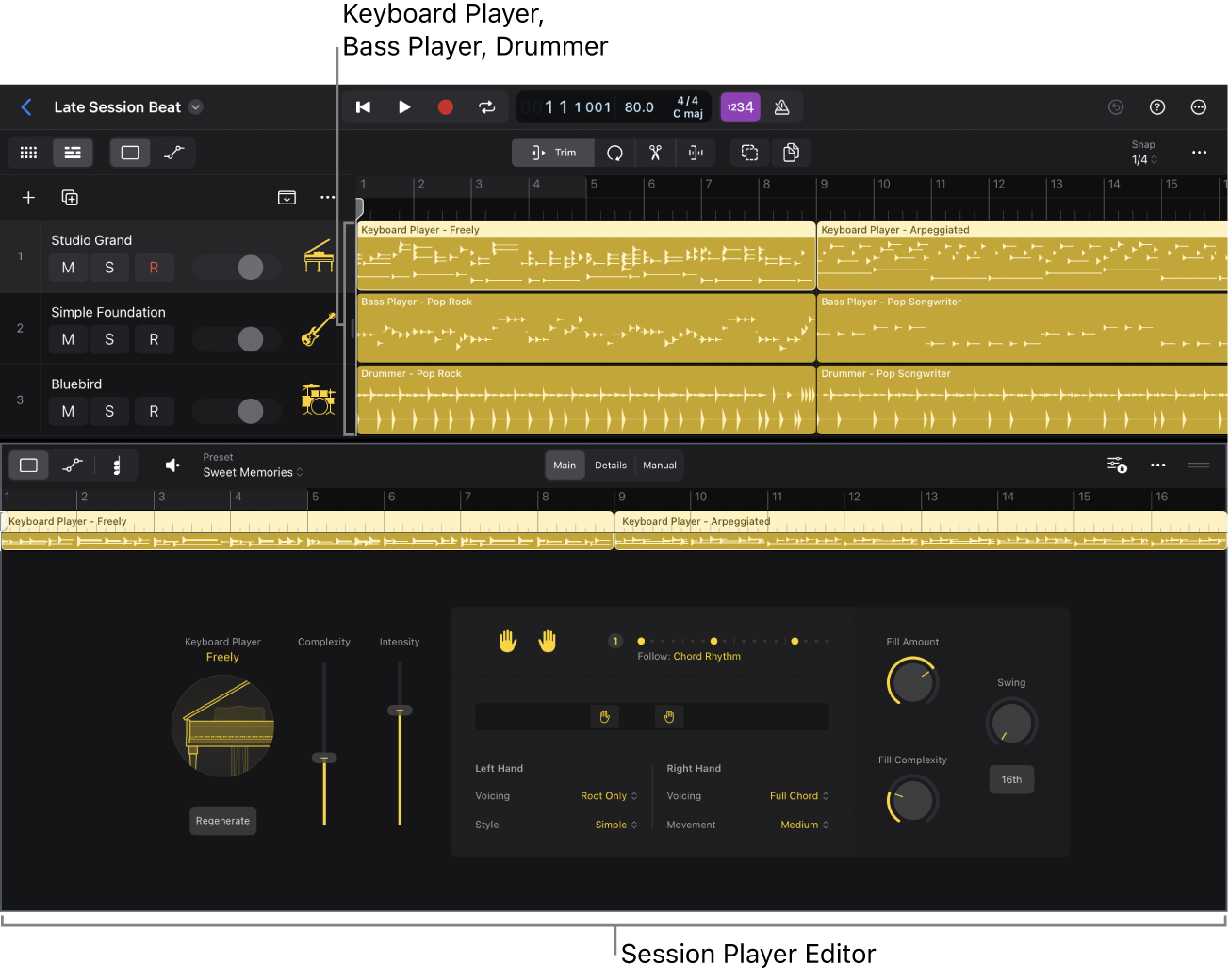 Figure. The Session Players in the Tracks area and Session Player Editor.