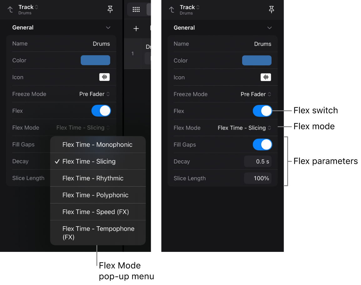 Figure. Track inspector showing the Flex settings.