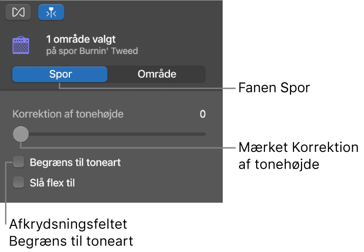 Info om lydværktøj i sporfunktion med mærket Korrektion af tonehøjde og afkrydsningsfeltet Begræns til toneart.