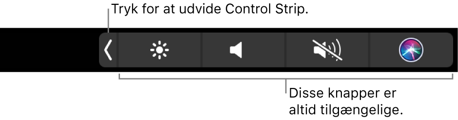 Figur. Touch Bar Control Strip.