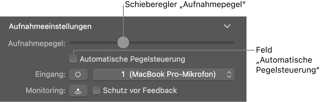 Der Regler „Aufnahmepegel“ und das Feld „Automatische Pegelsteuerung“ im Informationsfenster „Smart Controls“