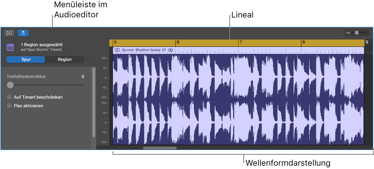 Audiospureditor mit ausgewählter Region