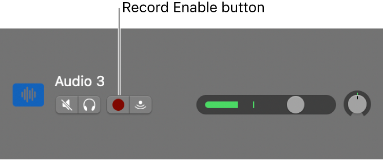 Track header showing Record Enable button.