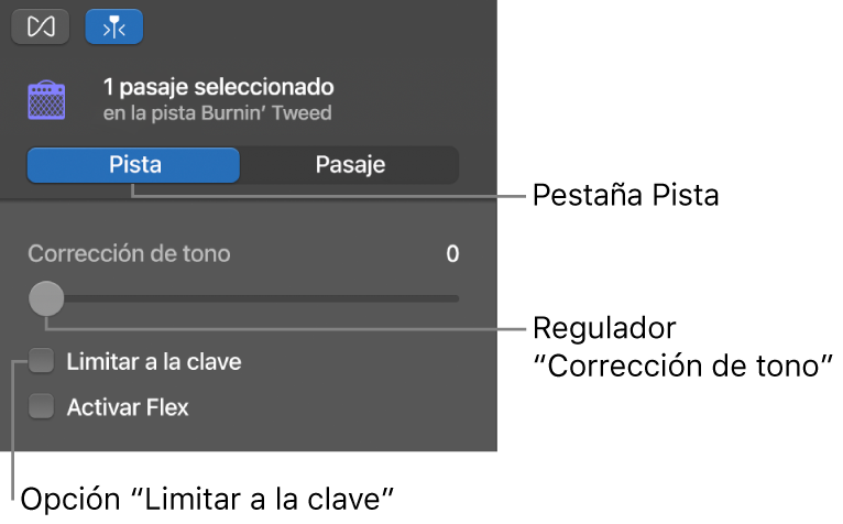 Inspector del editor de audio en modo Pista, con el regulador Corrección de tono y la casilla Limitar a la clave.