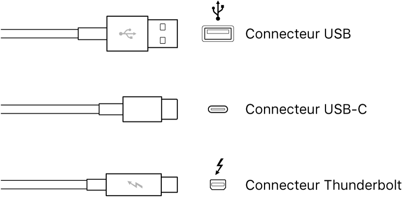 Illustration des types de connecteurs USB et Thunderbolt.