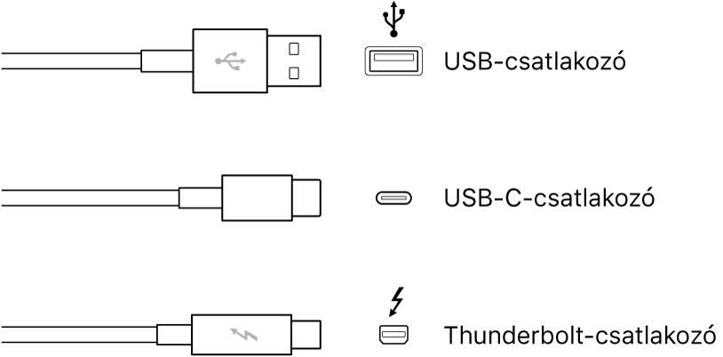 USB és Thunderbolt típusú csatlakozók illusztrációi.