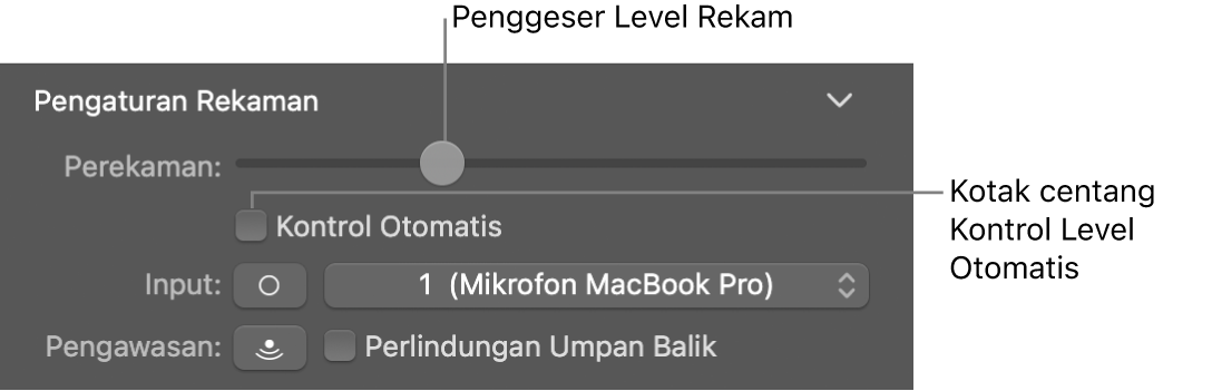 Penggeser Level Perekaman dan kotak centang Kontrol Level Otomatis di inspektur Smart Control.