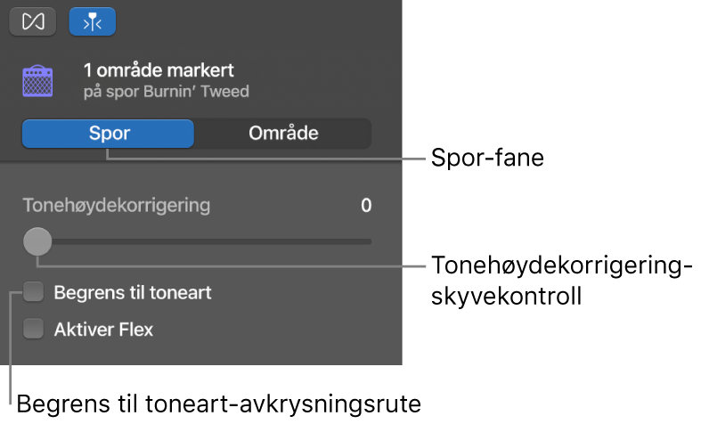 Lydredigerer-inspektøren i Spor-modus, som viser Tonehøydekorrigering-skyveknappen og Begrens til toneart-avkrysningsruten.