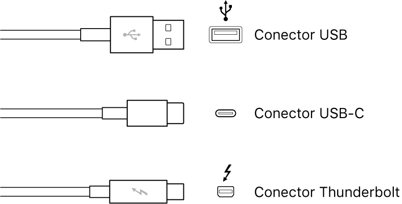 Ilustração dos tipos de conector USB e Thunderbolt.