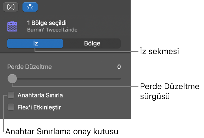 Perde Düzeltme sürgüsünü ve Anahtarla Sınırla onay kutusunu gösteren İz modundaki Ses Düzenleyici denetçisi.