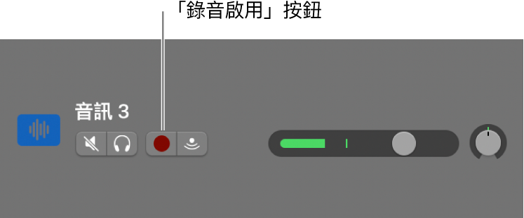 顯示「錄音啟用」按鈕的音軌標題。