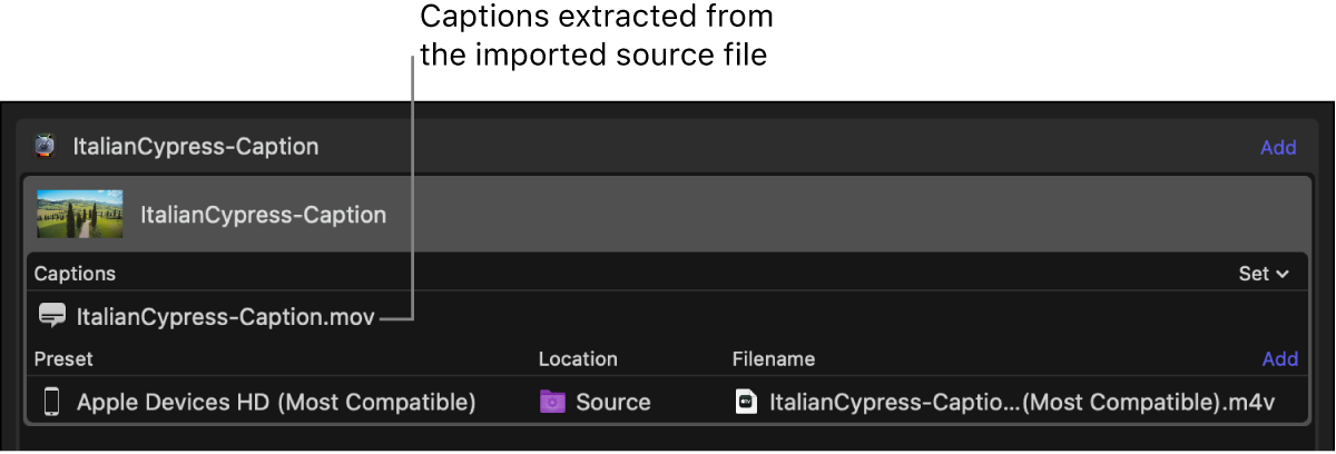 Batch area showing a captions file extracted from the source video file