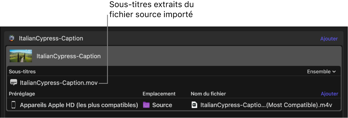 Zone du lot affichant un fichier de sous-titres, extrait du fichier vidéo source