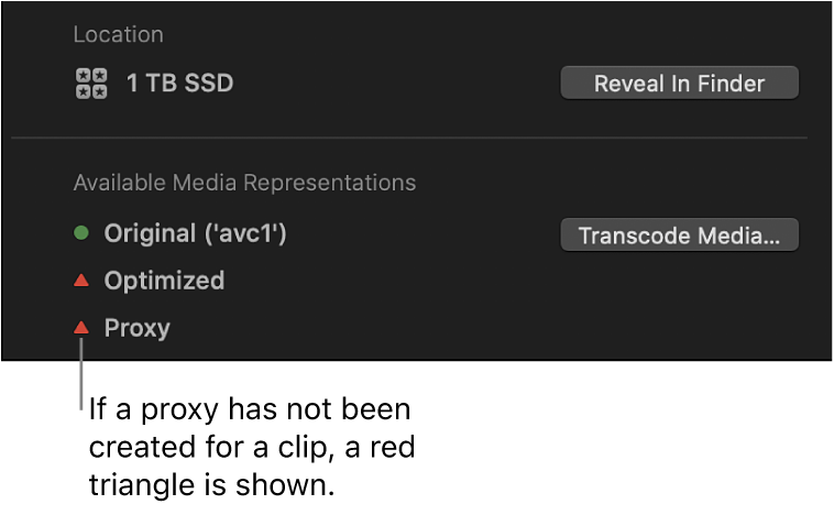 The Info inspector showing a red triangle indicating that no proxy file exists for the selected clip