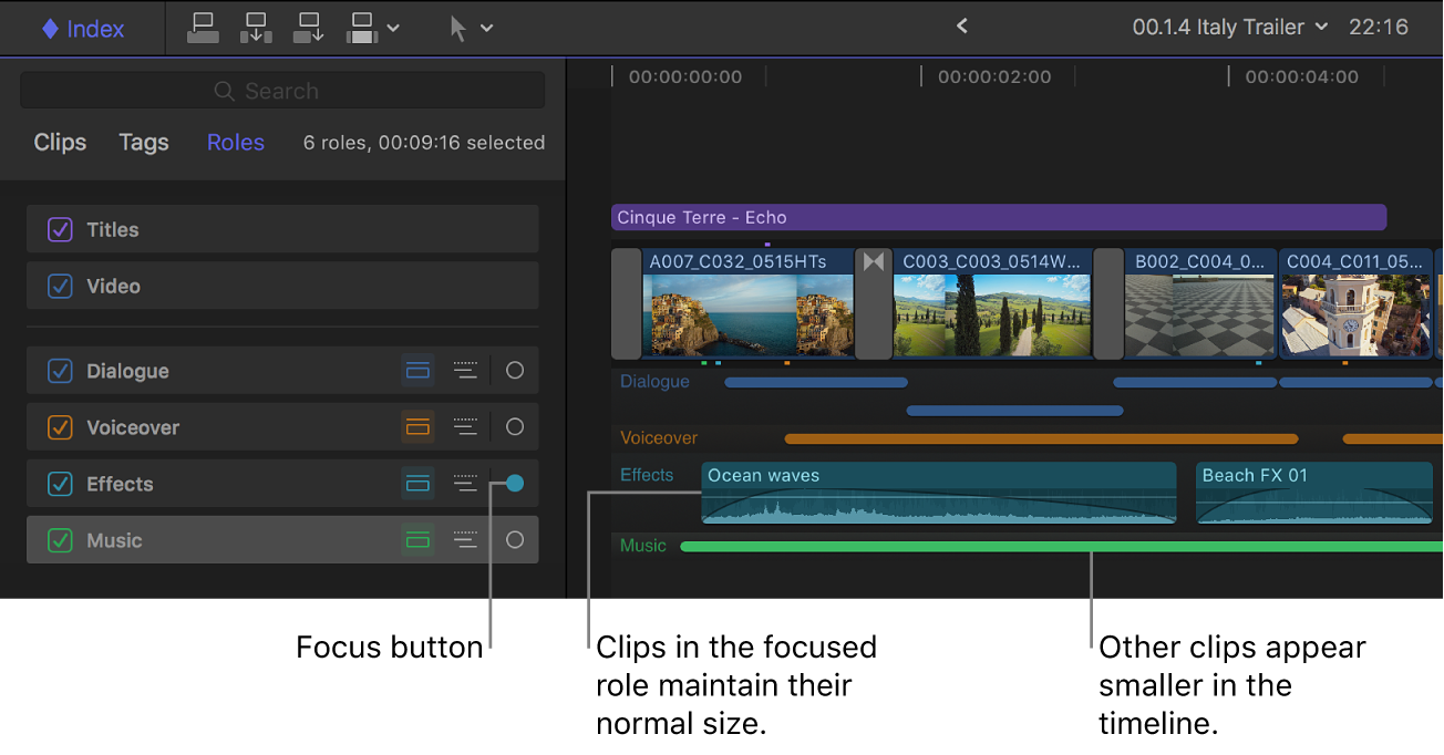 The timeline index showing the Focus button highlighted for the Effects role, and the timeline showing other audio roles minimized