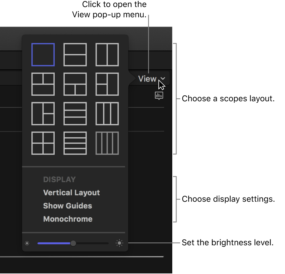 Options in the View pop-up menu above the video scopes display