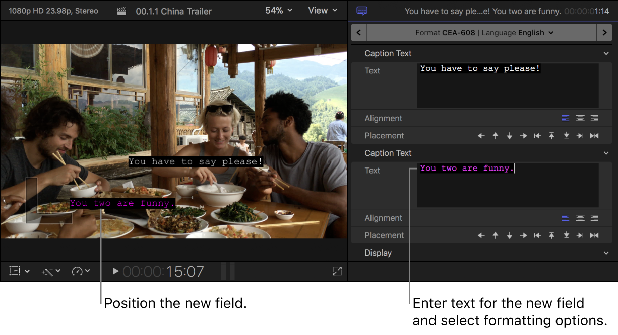 The viewer and the Caption inspector showing a caption with two text fields