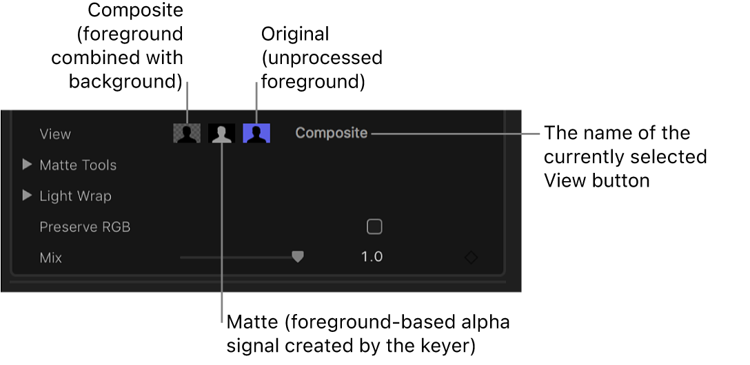 The View controls in the Video inspector