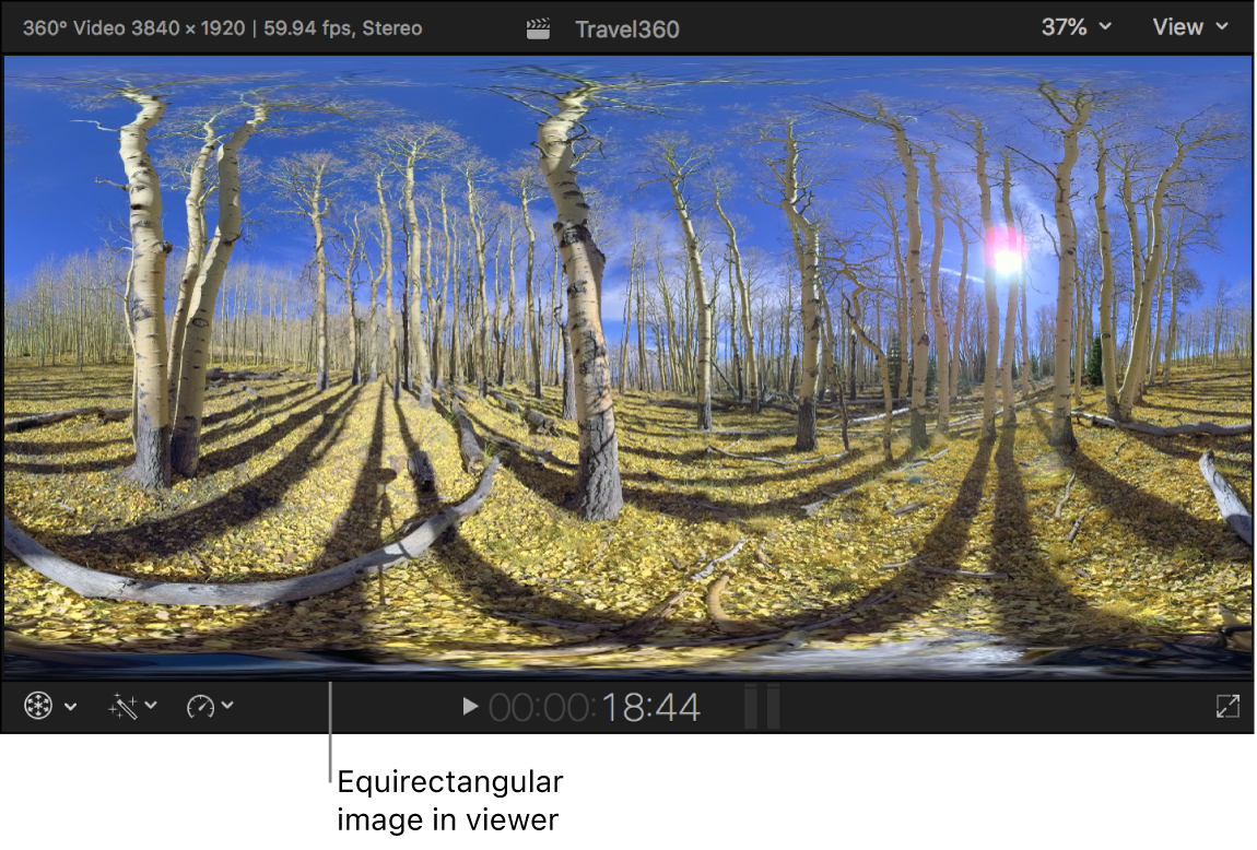 Imagen de 360º equirrectangular en el visor