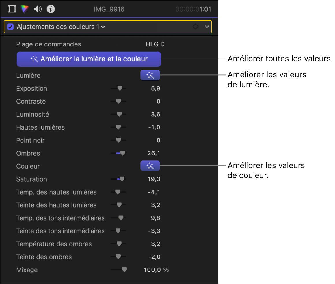 L’effet « Ajustements des couleurs » avec les commandes « Améliorer la lumière et la couleur » activées