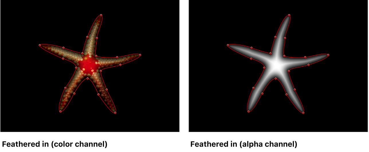 Canvas showing mask feathered in both color and alpha channel views