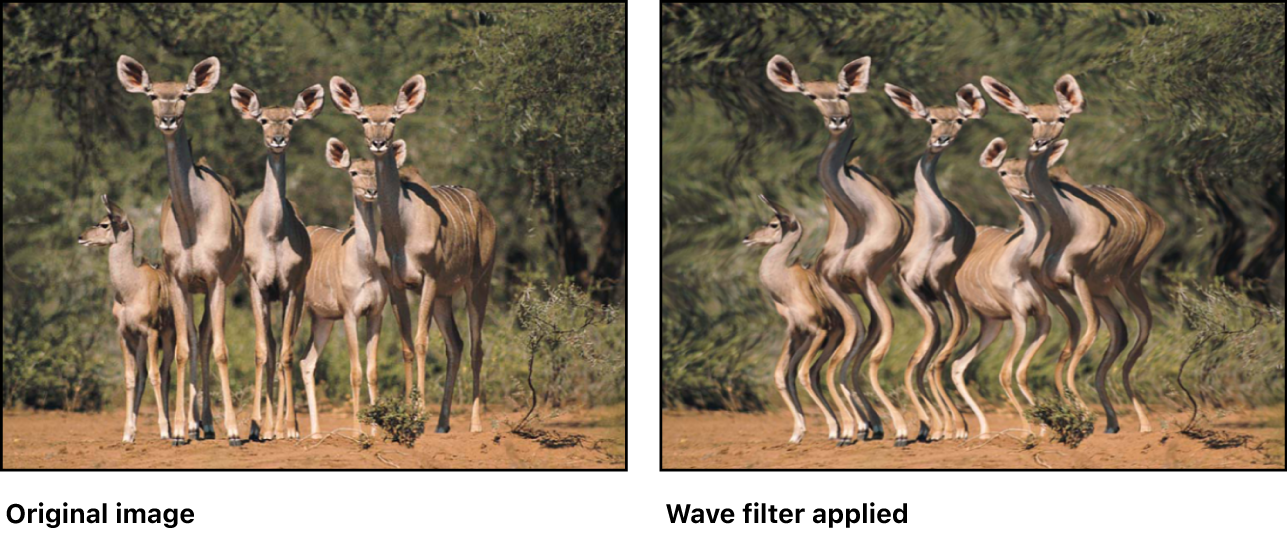 Canvas showing effect of Wave filter