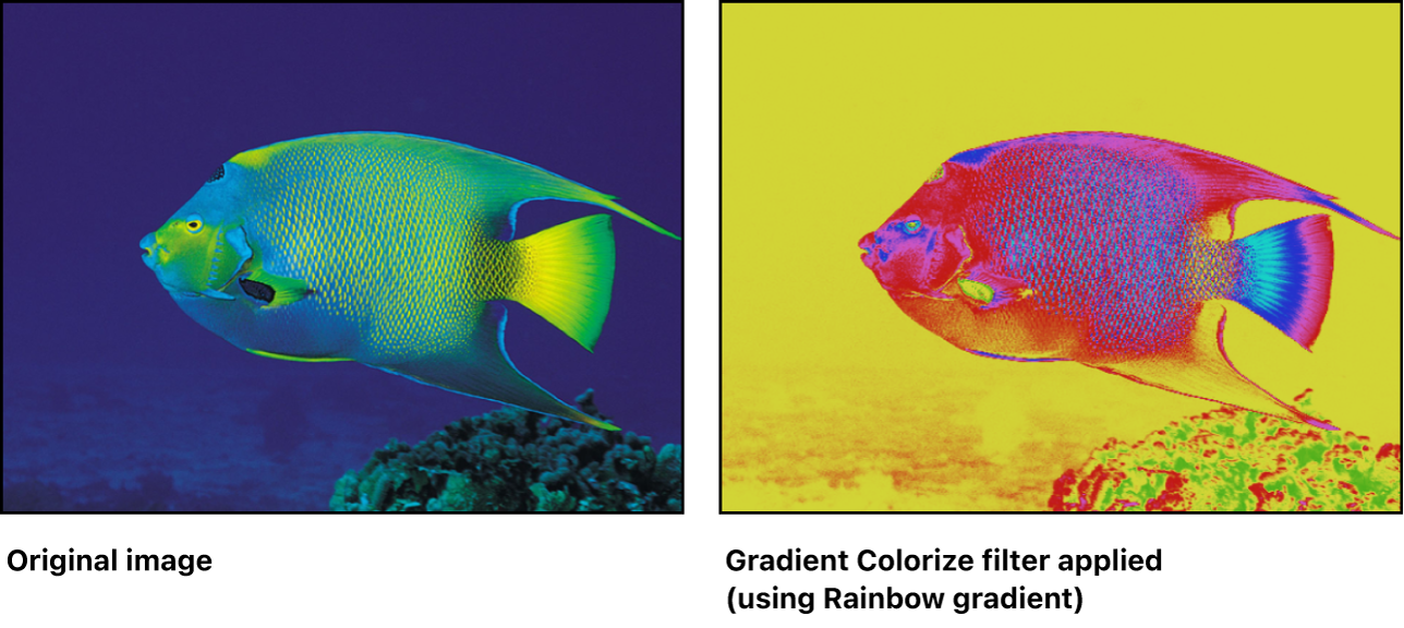 Canvas showing effect of Gradient Colorize filter