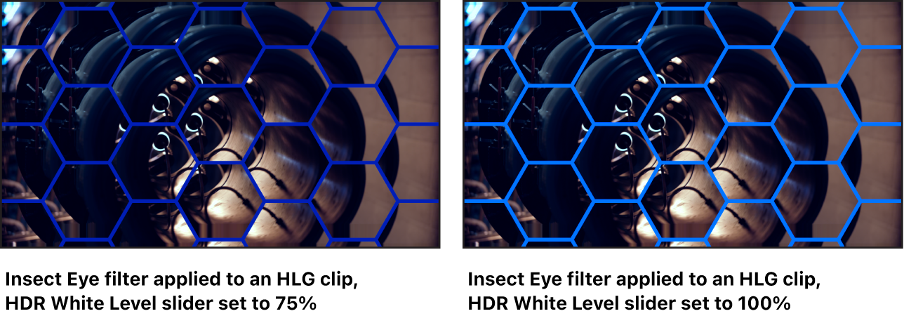 Canvas showing effects of adjusting the HDR White Level slider on the Insect Eye filter.