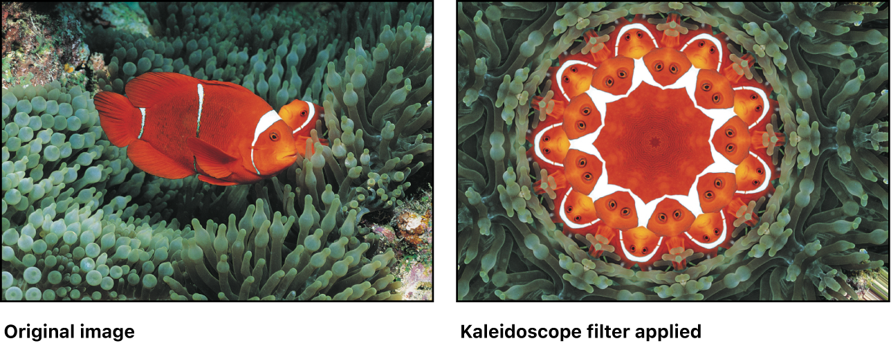 Canvas showing effect of Kaleidoscope filter