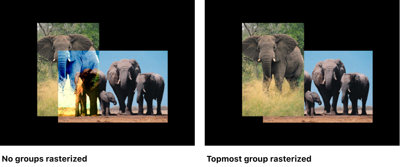 Canvas showing 2D groups before and after rasterization