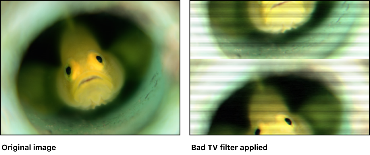 Canvas showing effect of Bad TV filter